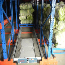 Welfor Rack Factory Storage Warehouse Q235 Radio Shuttle Rack